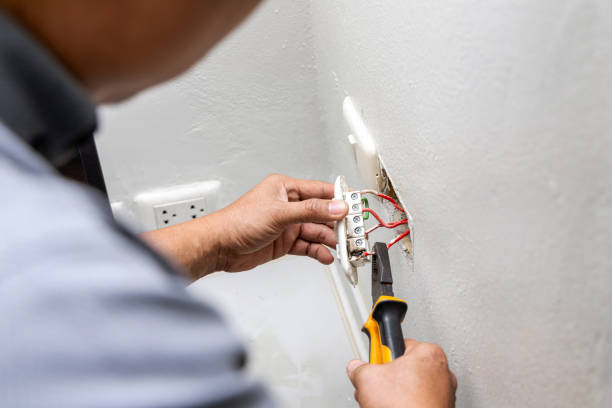 Best Industrial Electrical Services  in Portland, MI