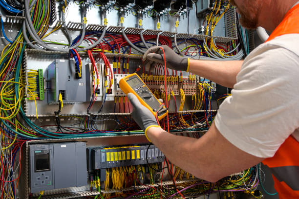 Best Electrical System Inspection  in Portland, MI